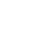 Evolution games at Dach Bet Casino